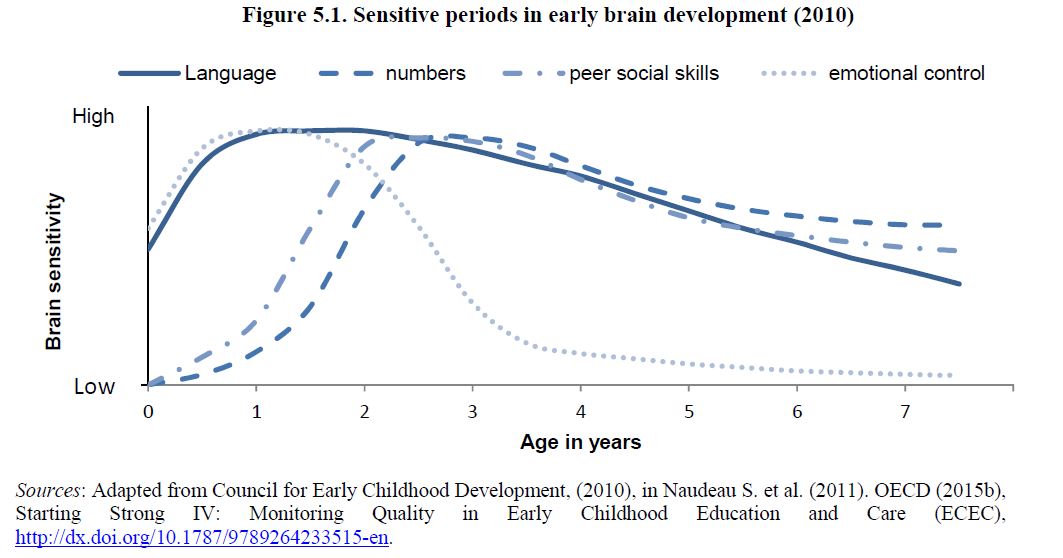Gráfica sobre el desarrollo cerebral infantil desde la Neurociencia (OECD)